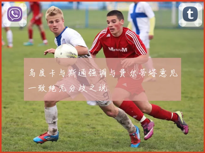 乌度卡与斯通强调与费尔蒂塔意见一致绝无分歧之说
