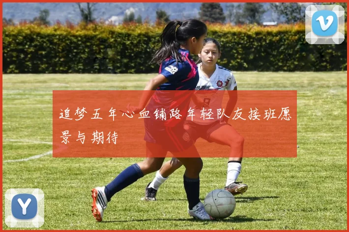 追梦五年心血铺路年轻队友接班愿景与期待